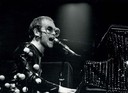 elton3-1024x748.jpg