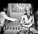 Copy-of-ELTON3-774x705.jpg