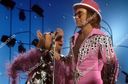 elton-john-performs-on-the-muppet-show-elstree-studios-uk-shutterstock-editorial-65548e.jpg