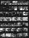 contact-sheet.jpg